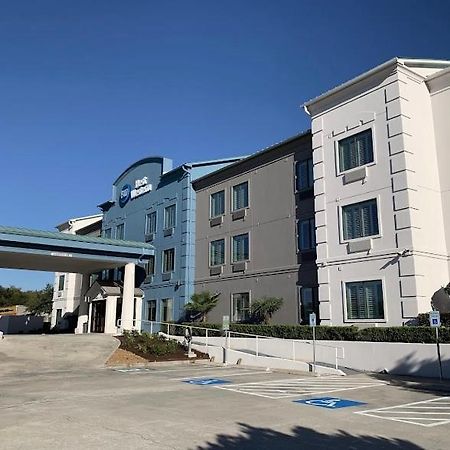 Best Western Houston Iah Intercontinental Airport Inn Humble Kültér fotó